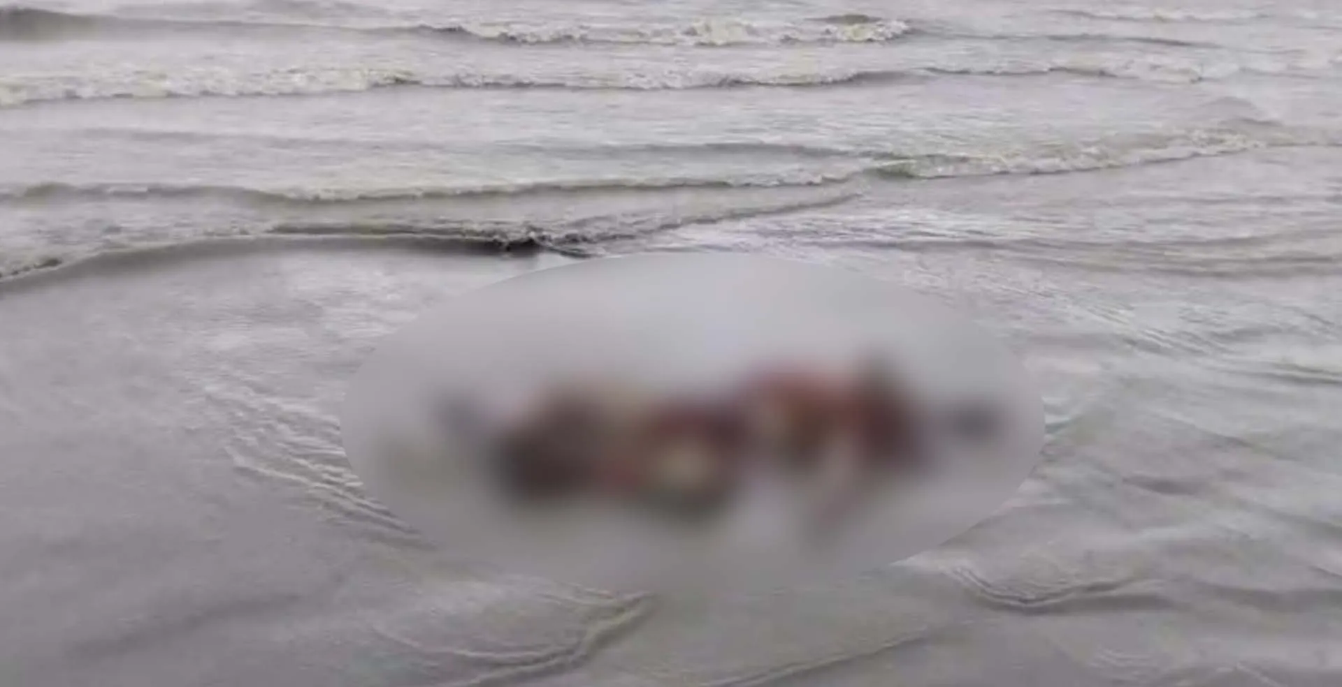 কুয়াকাটা সৈকত থেকে লাল কম্বল মোঁড়ানো অজ্ঞাত ব্যক্তির মরদেহ উদ্ধার